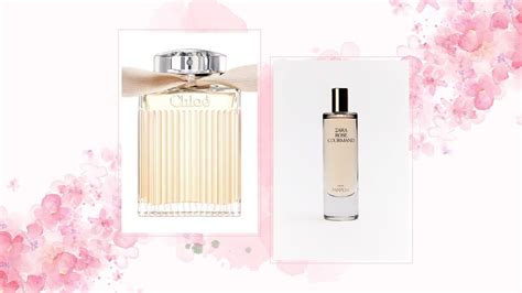 perfume similar to see by chloe|zara chloe signature dupe.